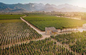 Vineyards of Mallorca